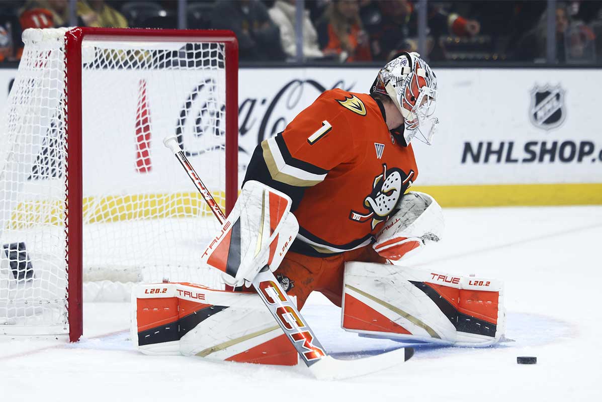 Anaheim Ducks goaltender Lukas Dostal (1) makes a save against the Vegas Golden Knights during the first period of a hockey game at Honda Center.