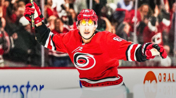 Hurricanes star Martin Necas set a new team record against the Blues.