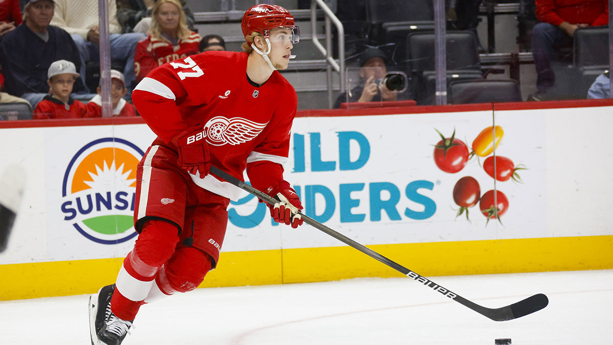 Red Wings' biggest surprise, disappointment to start 202425 season