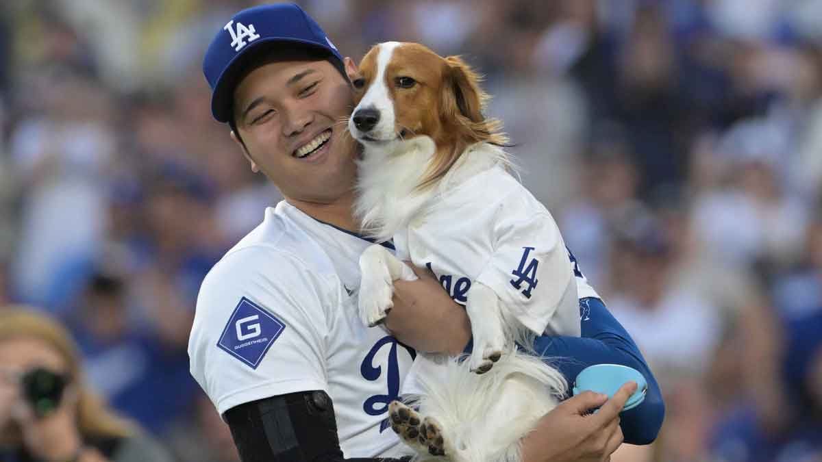 Aug 28, 2024; Los Angeles, California, USA; Los Angeles Dodgers designated hitter Shohei Ohtani (17) with his dog Decoy after he delivered he first pitch before the game against the Baltimore Orioles at Dodger Stadium. 