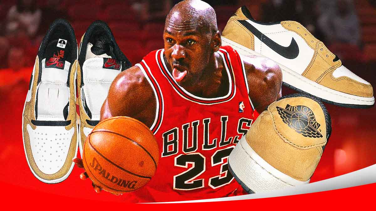 Nike air jordan rookie best sale