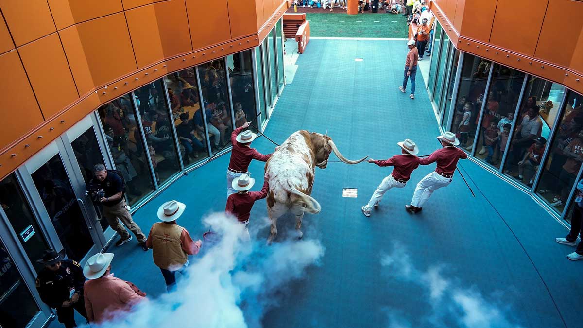 Texas Longhorns football mascot BEVO XV make it’s way into the field before kick off against Kentucky Wildcats in a NCAA college football game