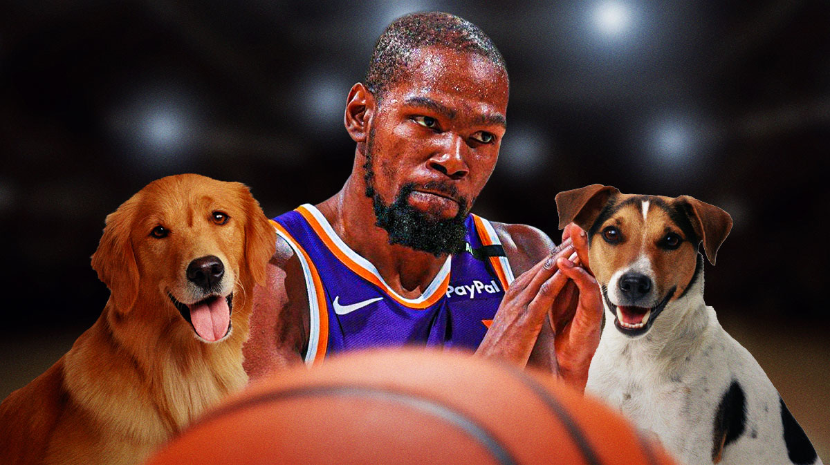 Kevin Durant with two dogs in the picture.
