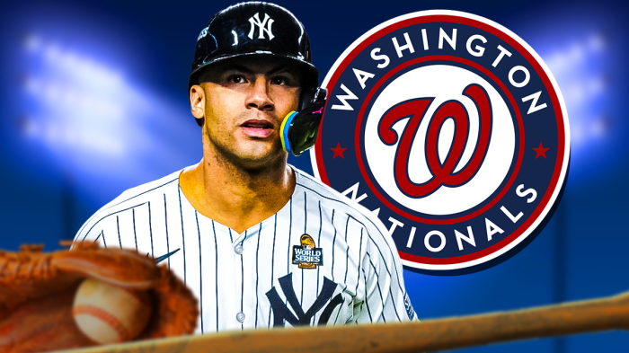 Gleyber Torres, Nationals