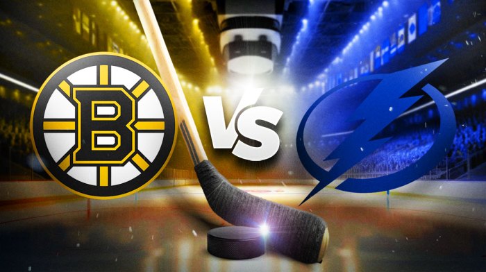Bruins Lightning prediction, Bruins Lightning pick, Bruins Lightning odds, Bruins Lightning, NHL Odds