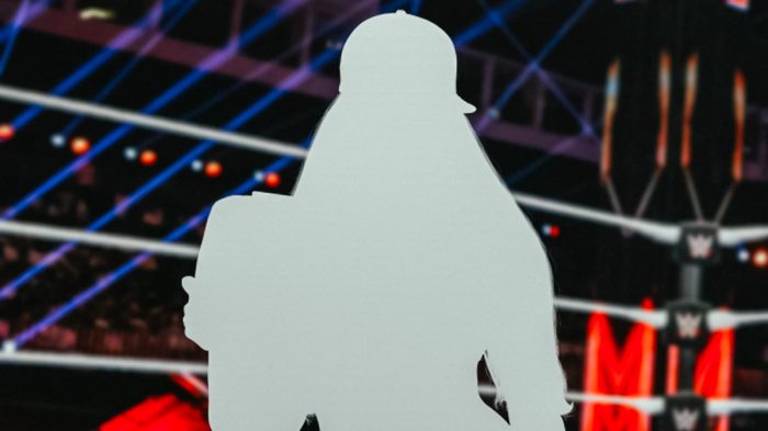 Silhouette of former WWE star Nikki Bella with ring background.