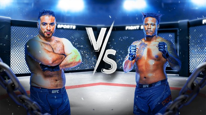 abdelwahab pogues prediction, abdelwahab pogues odds, abdelwahab pogues pick, abdelwahab pogues, ufc saudi arabia odds