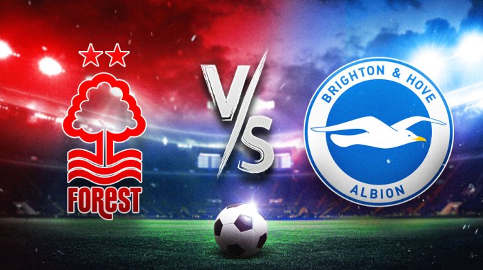 Nottingham Forest Brighton prediction, Nottingham Forest Brighton pick, Nottingham Forest Brighton odds, Nottingham Forest Brighton, premier league odds