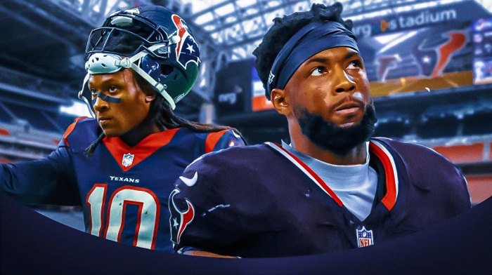 DeAndre Hopkins and Mike Williams (former Steelers and Chargers player) both in Texans uniforms
