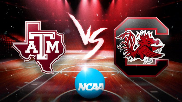 Texas A&M South Carolina prediction, College Basketball odds