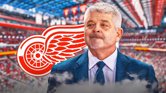 Red Wings coach Todd McLellan discusses the Stars loss.