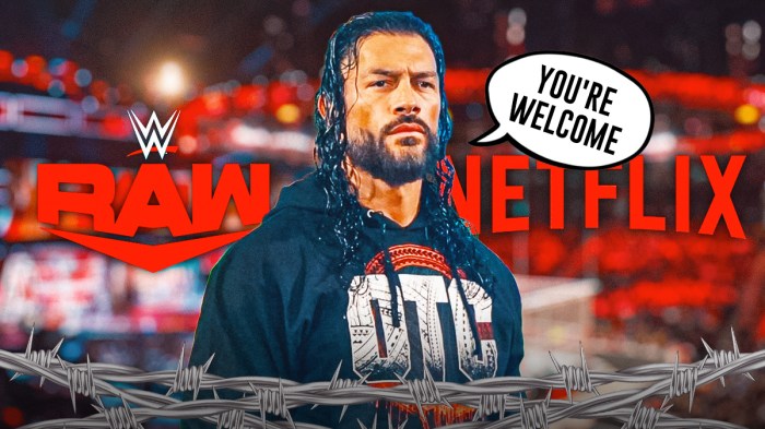 Roman Reigns with a text bubble reading "You're welcome" in front of the RAW on Netflix logo
