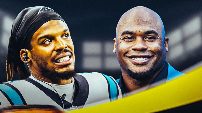 Cam Newton and Steve Smith Sr.