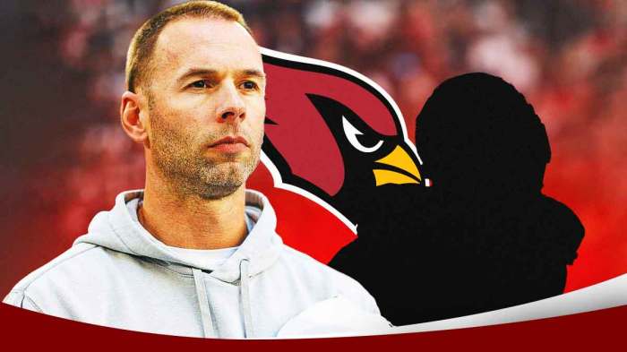 Jonathan Gannon, silhouette of Haason Reddick, Arizona Cardinals logo