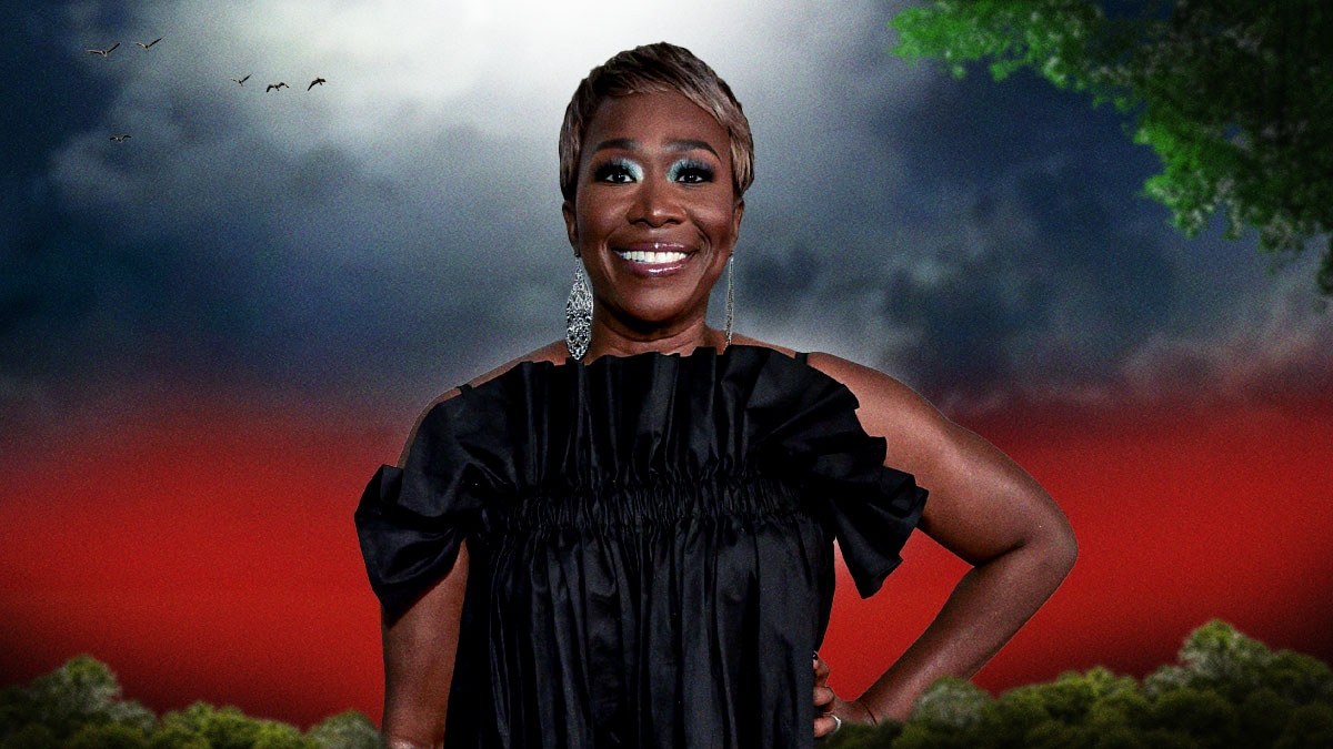 Delta Sigma Theta Sorority, Incorporated issued a statement on the cancellation of Joy Ann Reid's MSNBC show "The ReidOut".