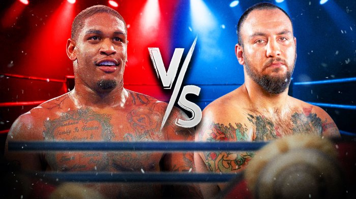 Anderson Kollias prediction, boxing odds