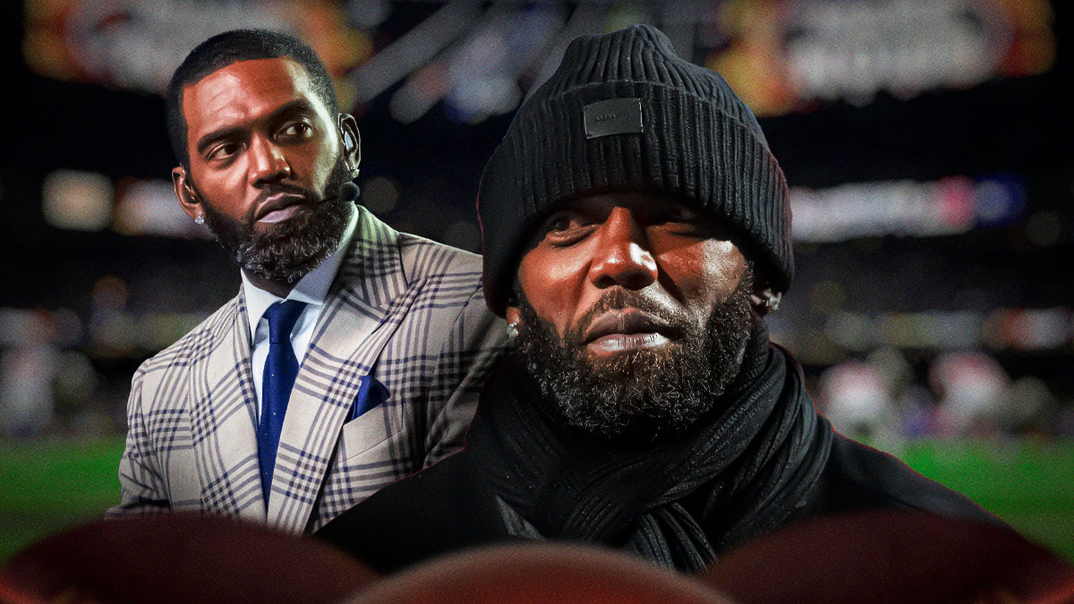 Randy Moss, NFL, Super Bowl