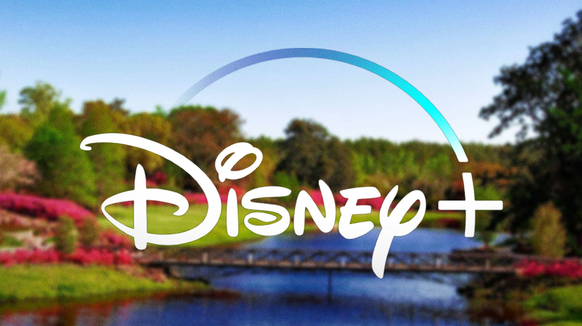 Disney+ logo in front of spring meadow to represent March 2025.