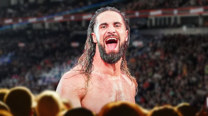 Seth Rollins, who recently discussed his post-WWE retirement plans.