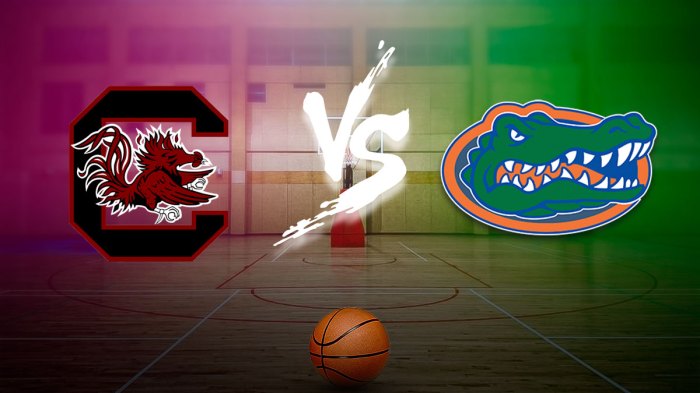 South Carolina Florida prediction, South Carolina Florida pick, South Carolina Florida odds, South Carolina Florida, South Carolina Florida college basketball odds