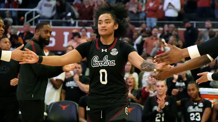 South Carolina Gamecocks guard Te-Hina Paopao (0) is introduced as a starter before a game against.