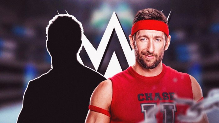 The blacked-out silhouette of Jeff Jarrett next to Duke Hudson in front of the WWE logo