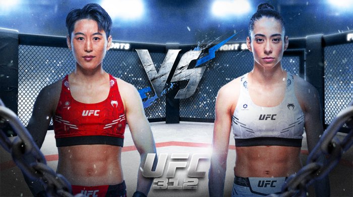 Cong Brasil prediction, Cong Brasil odds, Cong Brasil pick, Cong Brasil, ufc 312 odds