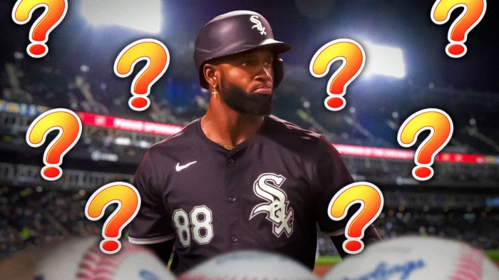 Luis Robert Jr., question marks all around him.