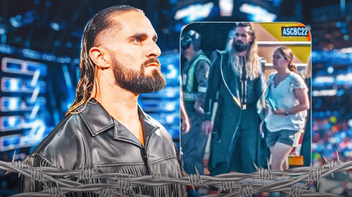 Seth Rollins next to the attached picture of Seth Rollins
