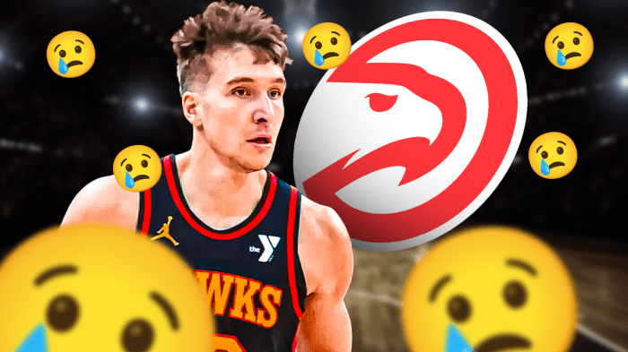 Bogdan Bogdanovic and a Hawks logo surrounded by crying emojis