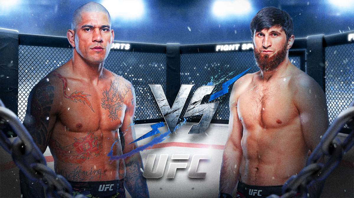 Pereira Ankalaev prediction, UFC 313 odds