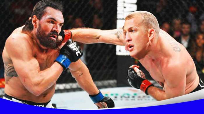 Steven Adams (Rockets), Mason Plumlee (Suns) as MMA fighters