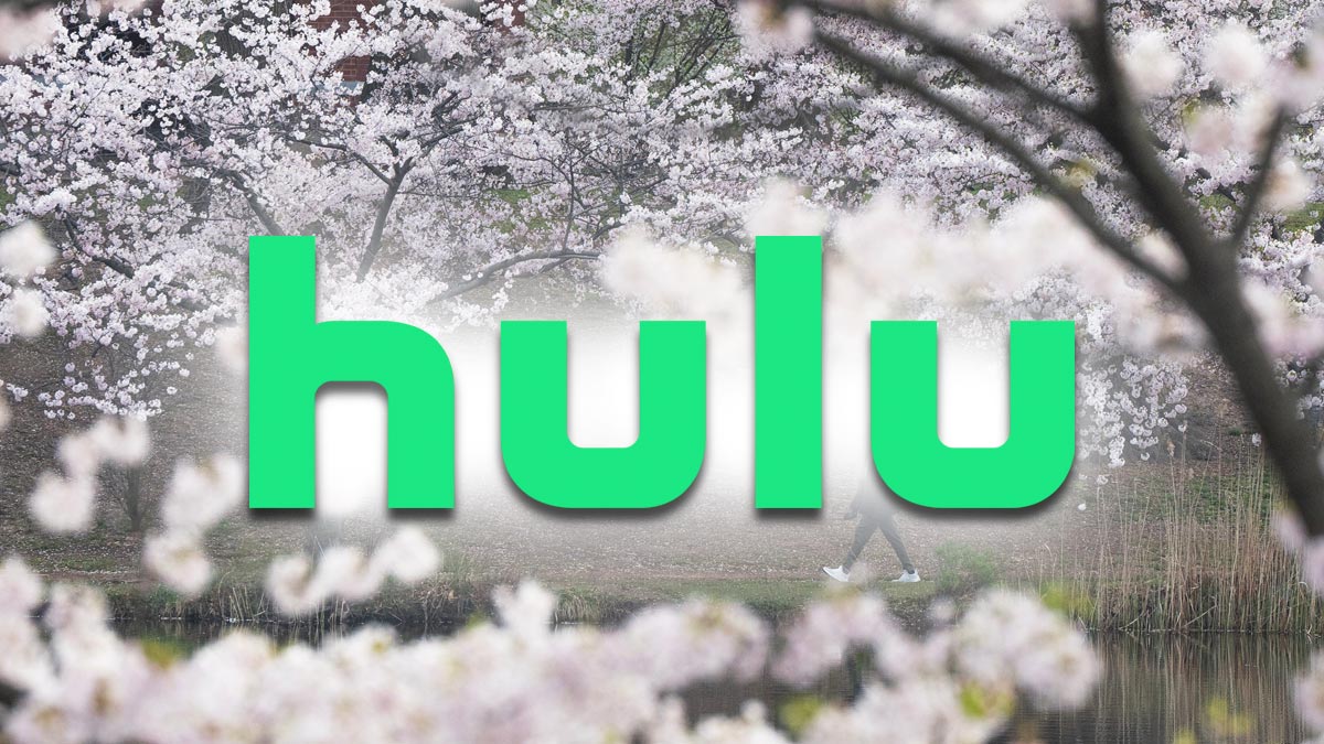 Hulu logo in front of cherry blossoms to represent March 2025.