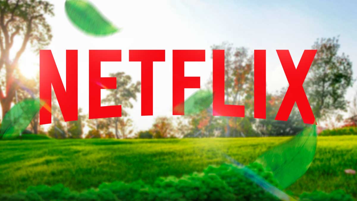 new to netflix this weekend, Netflix