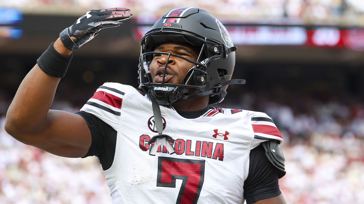 South Carolina Gamecocks defensive back Nick Emmanwori (7) reacts after returning an interception for a touchdown during the first half against the Oklahoma Sooners at Gaylord Family-Oklahoma Memorial Stadium. Mandatory Credit: Kevin Jairaj-Imagn Images