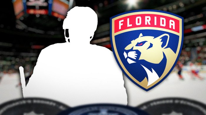 Silhouette of Nico Sturm next to Florida Panthers logo