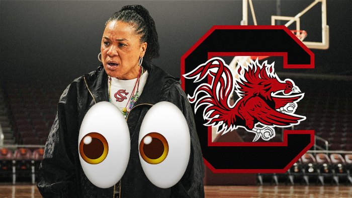 Dawn Staley, South Carolina Gamecocks logo, eyes symbols