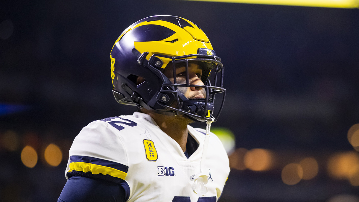 Michigan Wolverines defensive end TJ Guy (42) against the Iowa Hawkeyes in the Big Ten Conference championship game at Lucas Oil Stadium.