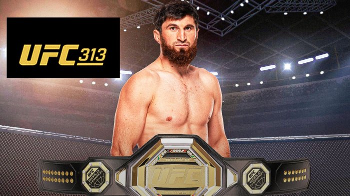ankalaev pereira, alex pereira, magomed ankalaev, ufc 313