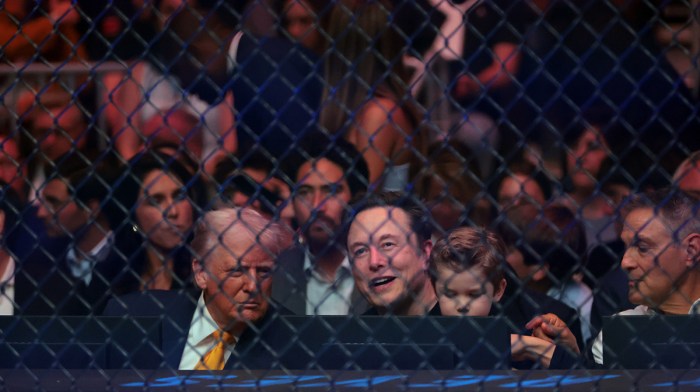 Donald Trump, who snubbed Ronald F Kennedy's wife, Curb Your Enthusiasm star Cheryl Hines, and Elon Musk at UFC 314.