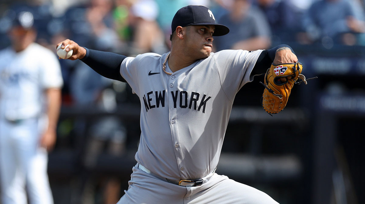 New York Yankees pitcher Fernando Cruz (63) throws a pitch against the Tampa Bay Rays in the eighth inning at George M. Steinbrenner Field.