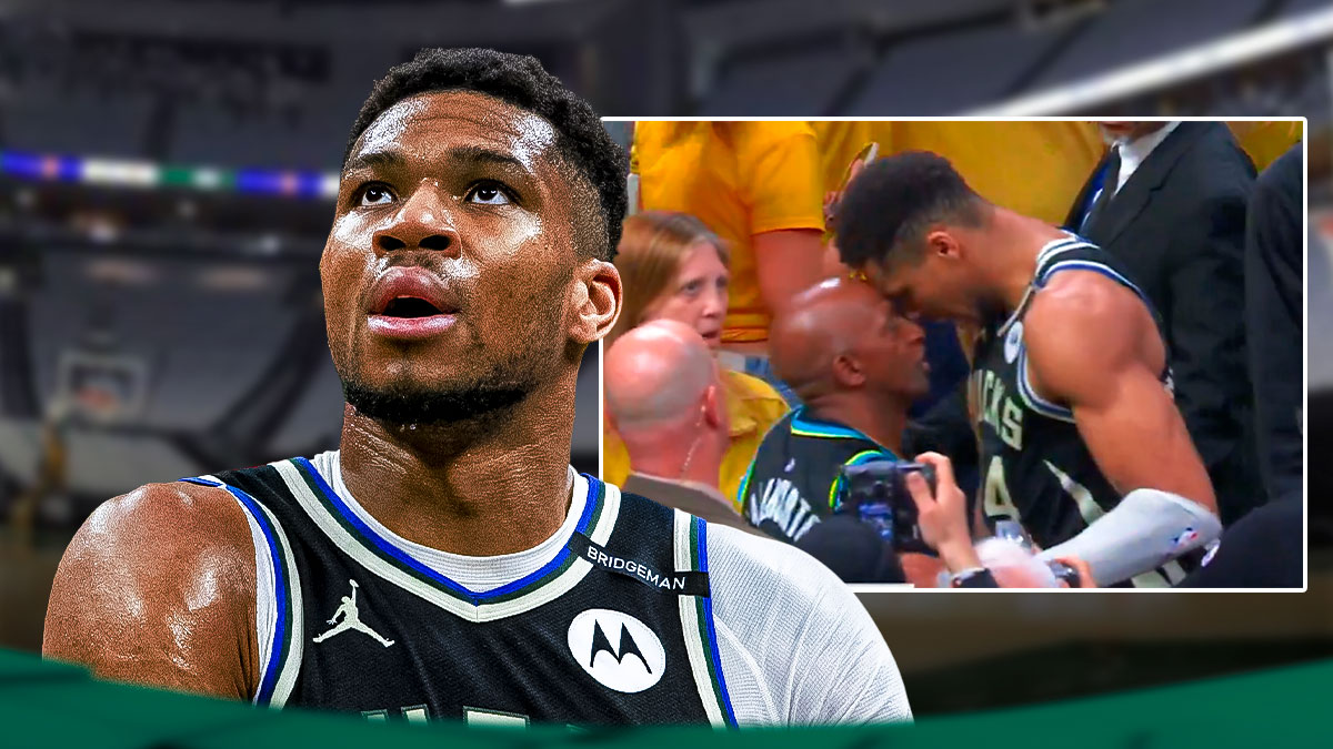 Milwaukee Bucks player Giannis Antetokounmpo along with a screenshot showing the heated exchange from this link, Game 5 Pacers