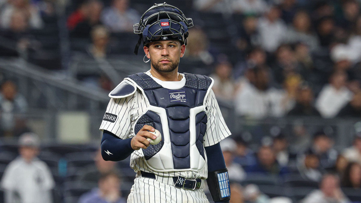 New York Yankees catcher J.C. Escarra (25) looks back during the seventh inning against the Arizona Diamondbacks at Yankee Stadium