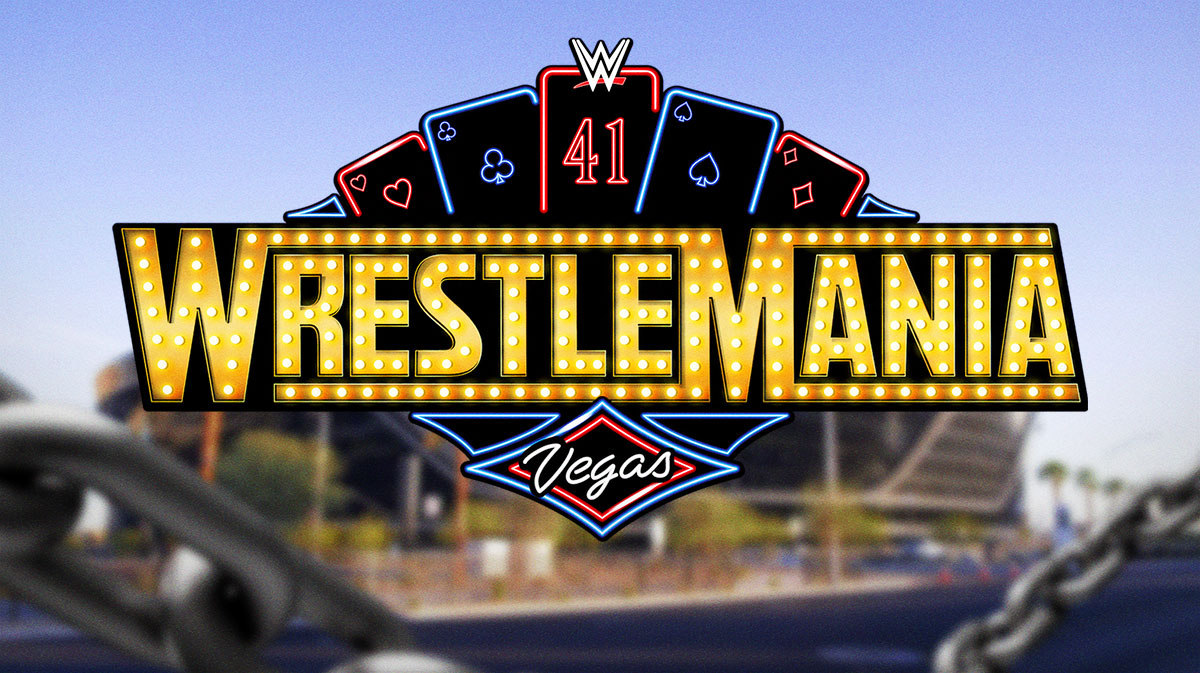 WWE news: Fan hit outside of WrestleMania 41 in scary crash
