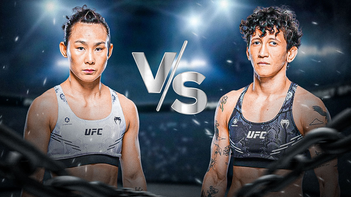 Yan Jandiroba prediction, UFC 314 odds