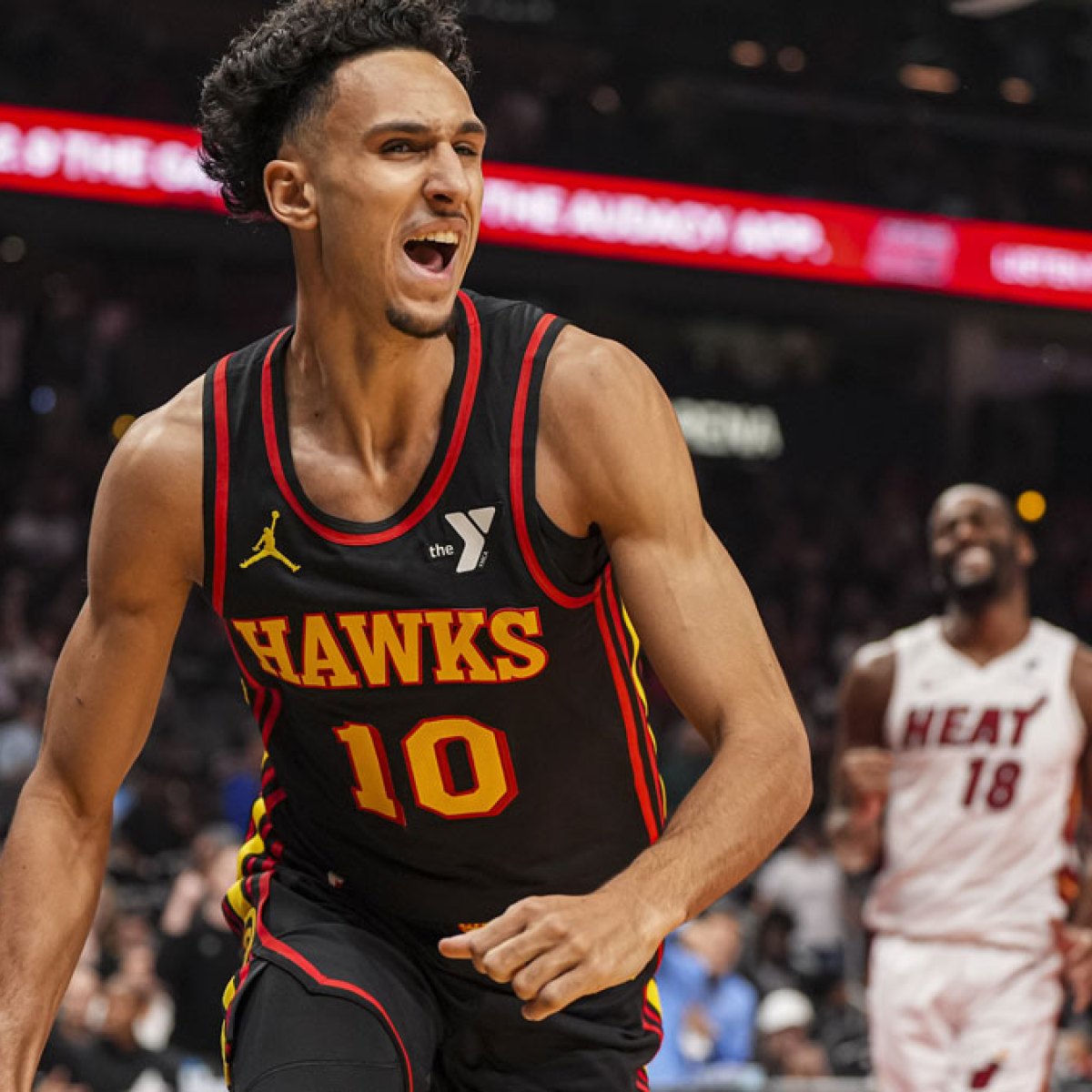 Hawks