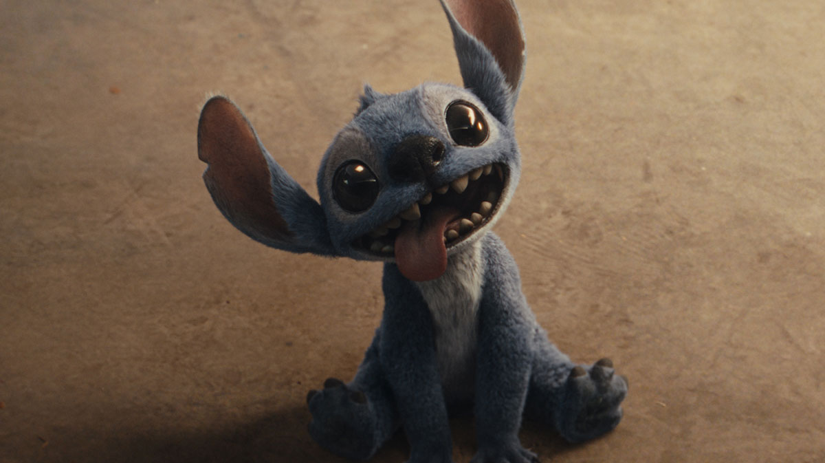 Stitch.