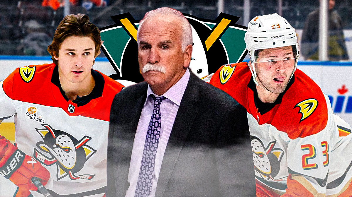 joel quenneville ducks blackhawks