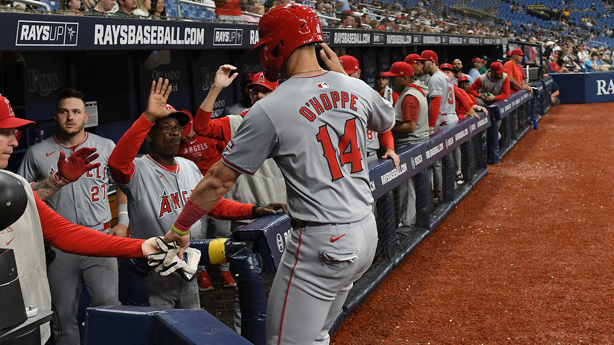 Los Angeles Angels catcher Logan O’Hoppe (14) is greeted by his teammates after scoring a run in the sixth inning against the Tampa Bay Rays.