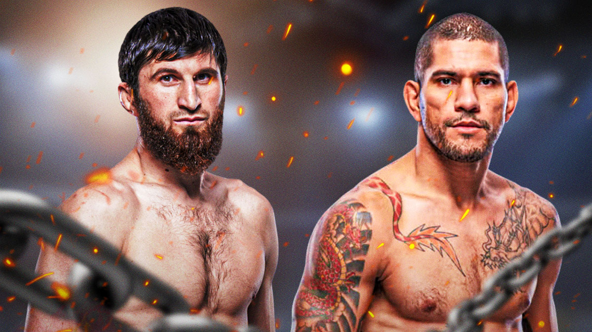 ankalaev pereira, ufc 317, international fight week